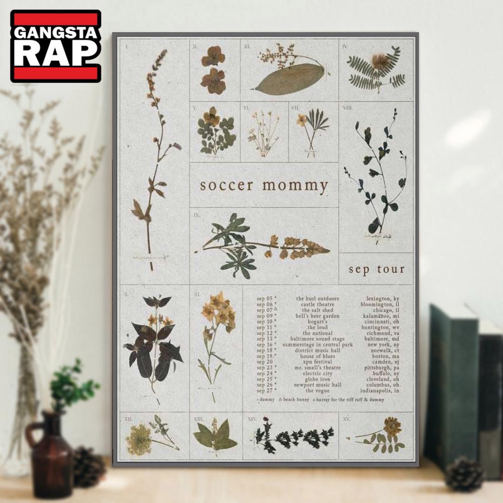 Soccer Mommy Sep Tour 2025 Poster Canvas Art Soccer Mommy Sep Tour 2025 Poster Canvas Art