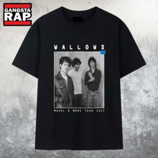 Wallows Model & More Tour 2025 T Shirt